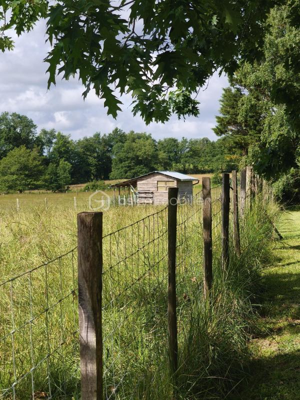 Longère - 221 m² - 10 pièces