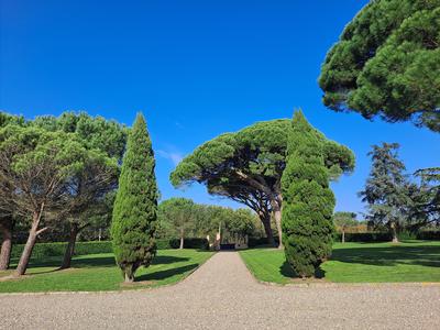 Maison - 655 m² - 20 pièces