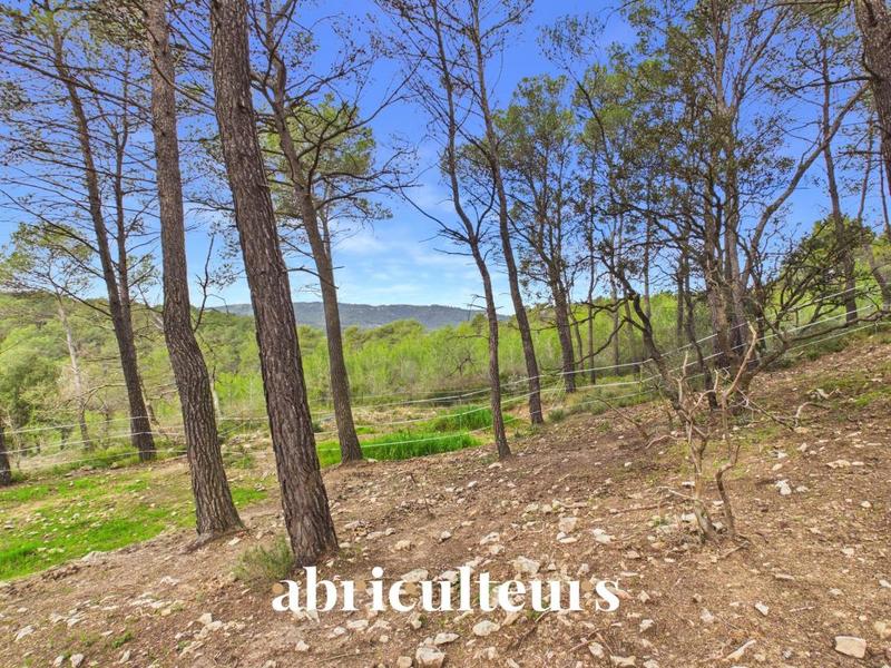 Maison ancienne - 66 m² - 3 pièces