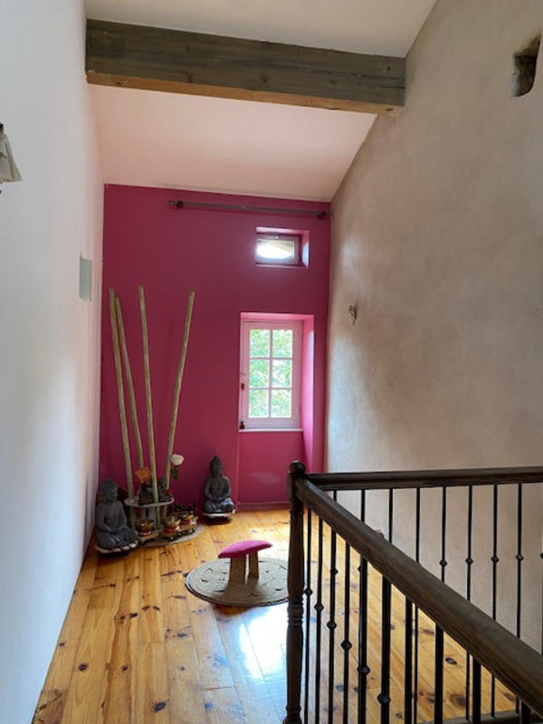 Maison en pierre - 330 m² - 7 pièces