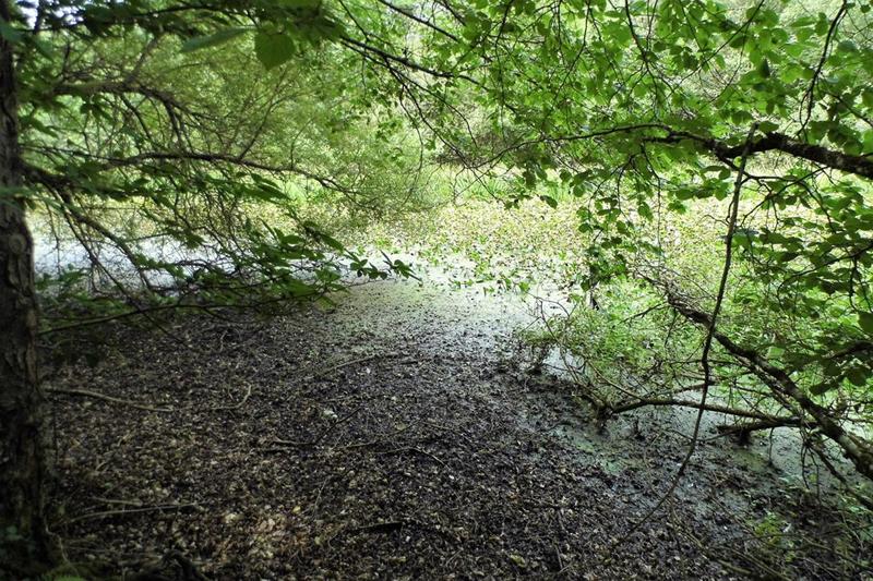 Terrain - 464 000 m²