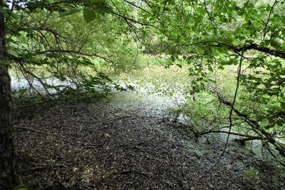 Terrain - 464 000 m²