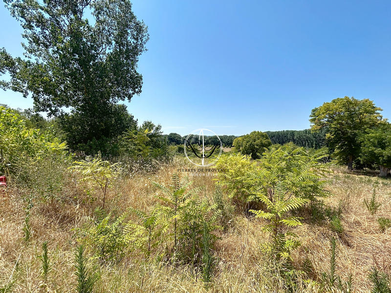 Terrain - 7 300 m²
