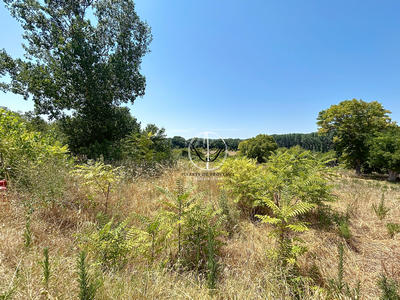 Terrain - 7 300 m²