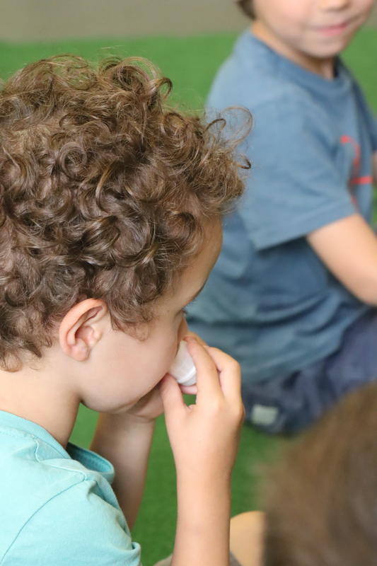Expérience sensorielle : la forêt au musée