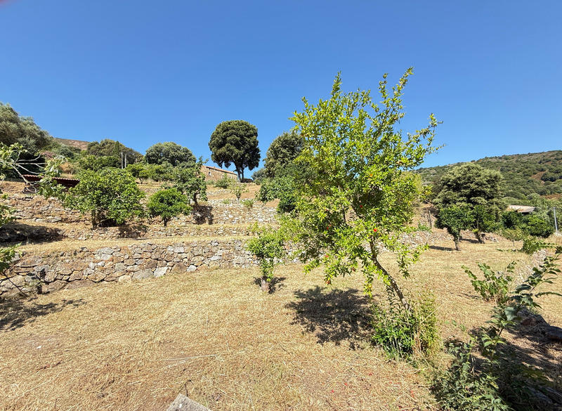 Terrain constructible - 1 110 m²