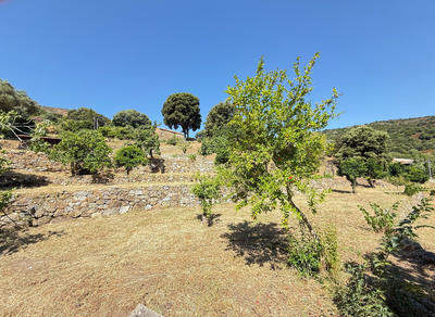 Terrain constructible - 1 110 m²