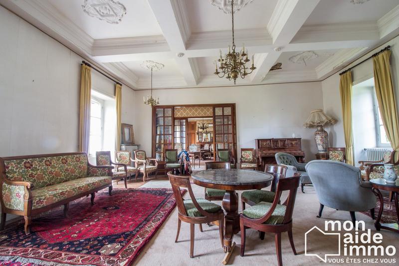 Château - 350 m² - 15 pièces