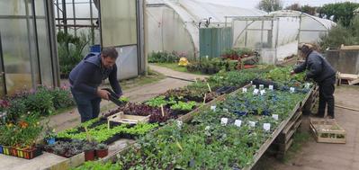 Aux Serres Hermitoises