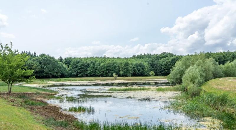 Manoir - 2 100 m² - 40 pièces