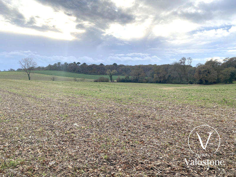 Terrain agricole - 11 460 m²