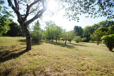 Viager - Villa - 206 m² - 9 pièces