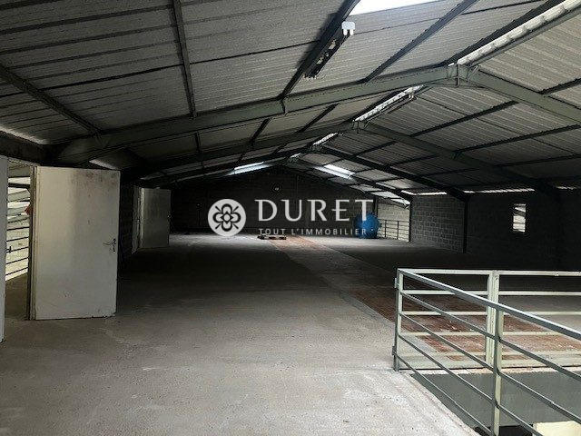 Local d'activités - 1 260 m²