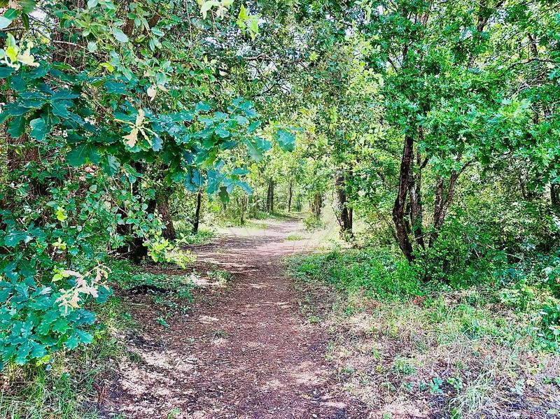 Maison - 23 m² - 3 pièces