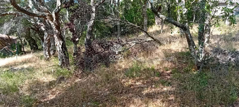 Terrain constructible - 1 280 m²