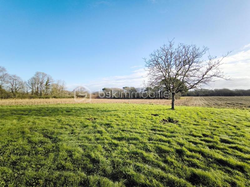 Maison en pierre - 98 m² - 4 pièces