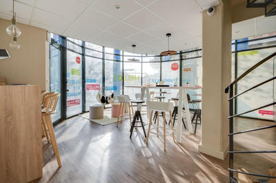 Appartement - 19 m² - 1 pièce