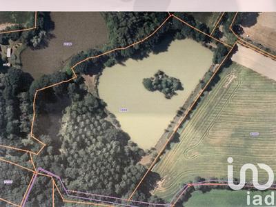 Terrain - 22 944 m²