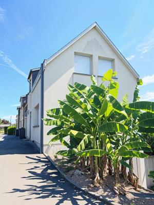 Maison jumelée - 77 m² - 4 pièces