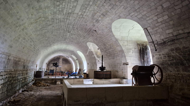 Demeure - 270 m² - 8 pièces