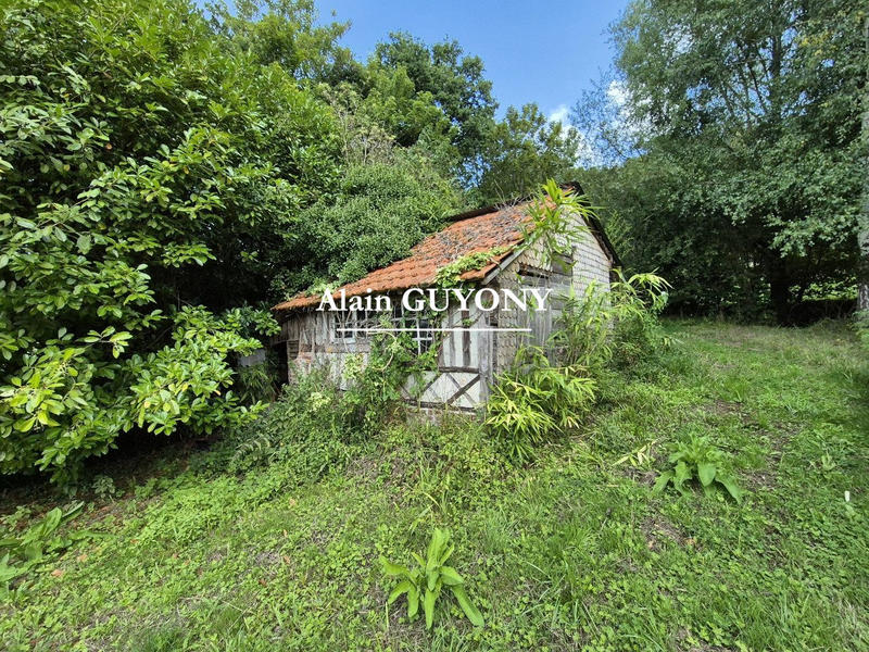 Maison ancienne - 117 m² - 7 pièces