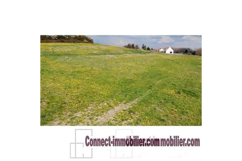 Terrain - 1 075 m²