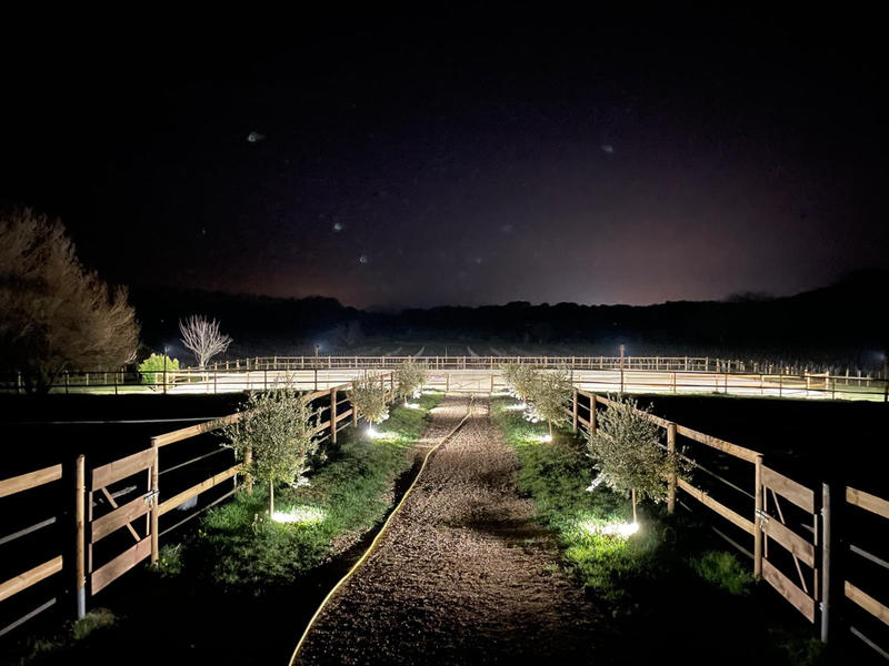 Maison - 210 m² - 6 pièces