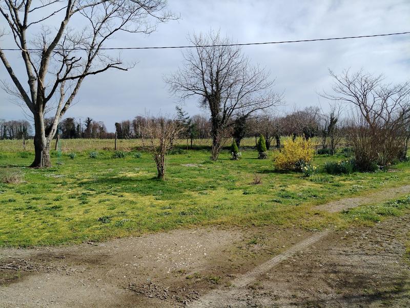 Ferme - 200 m² - 5 pièces