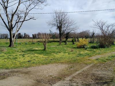 Ferme - 200 m² - 5 pièces