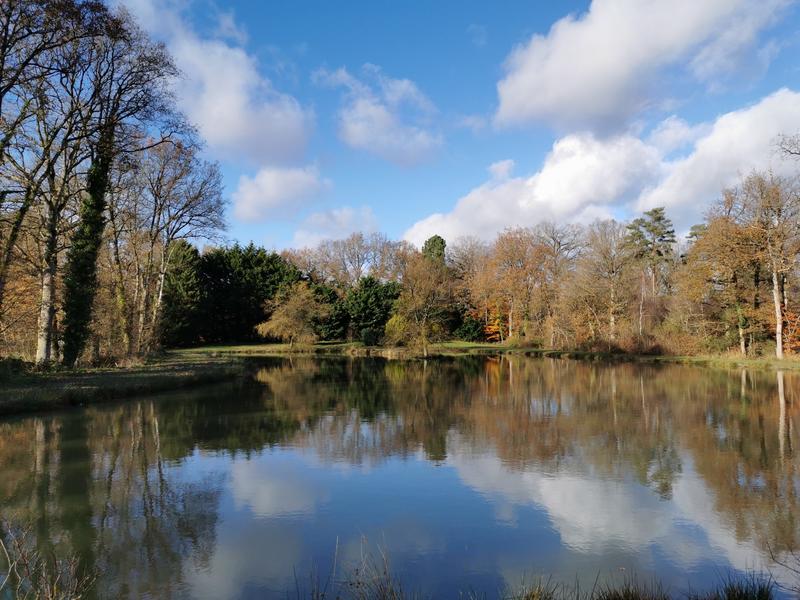 Terrain de loisirs - 11 400 m²