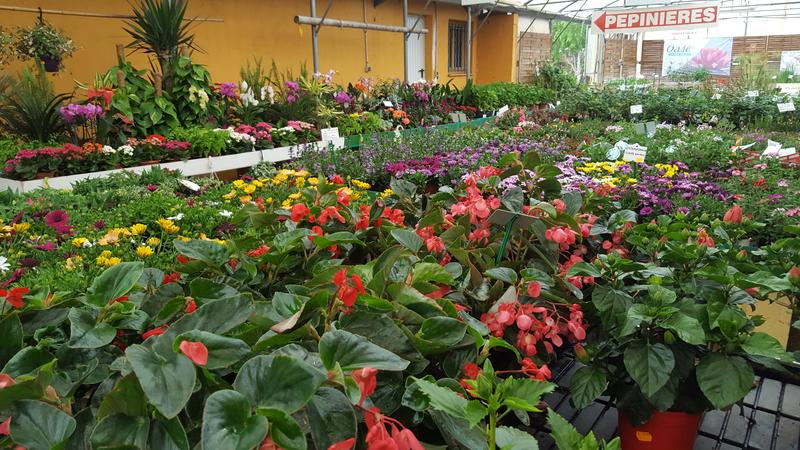 Jardinerie d'Argelès