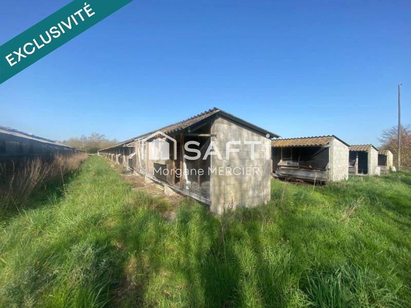 Terrain agricole - 5 000 m²
