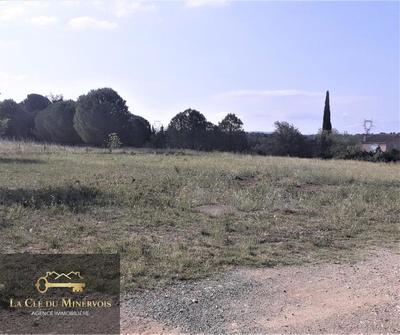 Terrain - 1 068 m²
