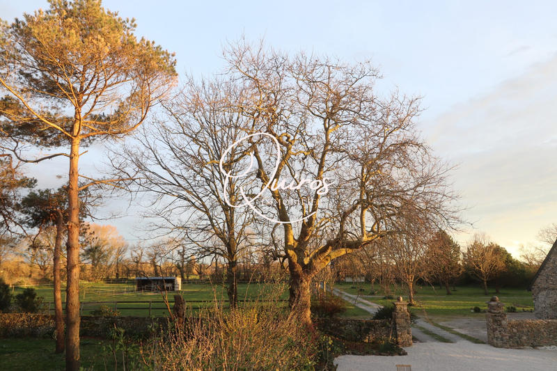 Maison - 209 m² - 12 pièces