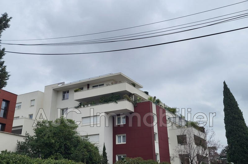 Appartement - 45 m²