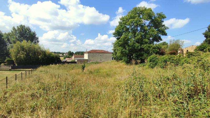 Terrain - 974 m²