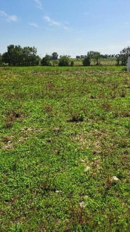 Terrain constructible - 715 m²