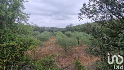 Terrain agricole - 73 520 m²