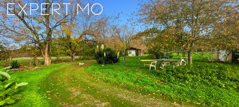 Viager - Maison - 168 m² - 6 pièces