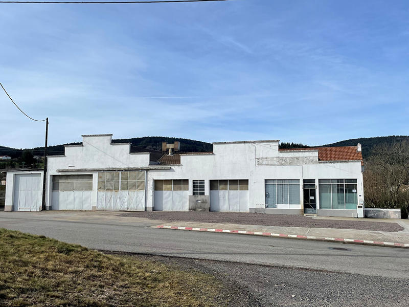 Local d'activité / Entrepôt - 750 m²