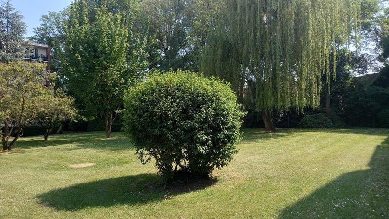 Appartement - 86 m² - 4 pièces