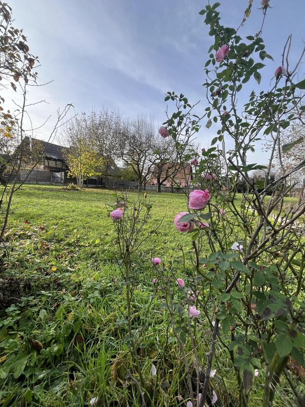 Corps de ferme - 120 m² - 5 pièces