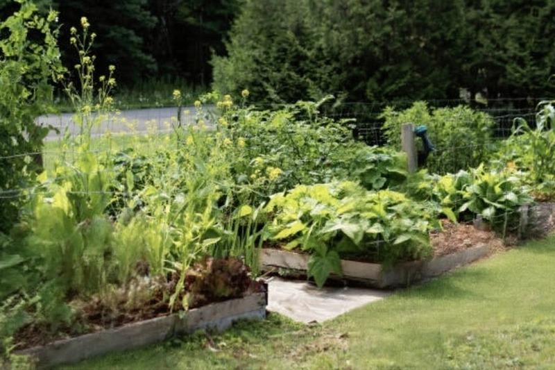 Ferme - 245 m² - 8 pièces