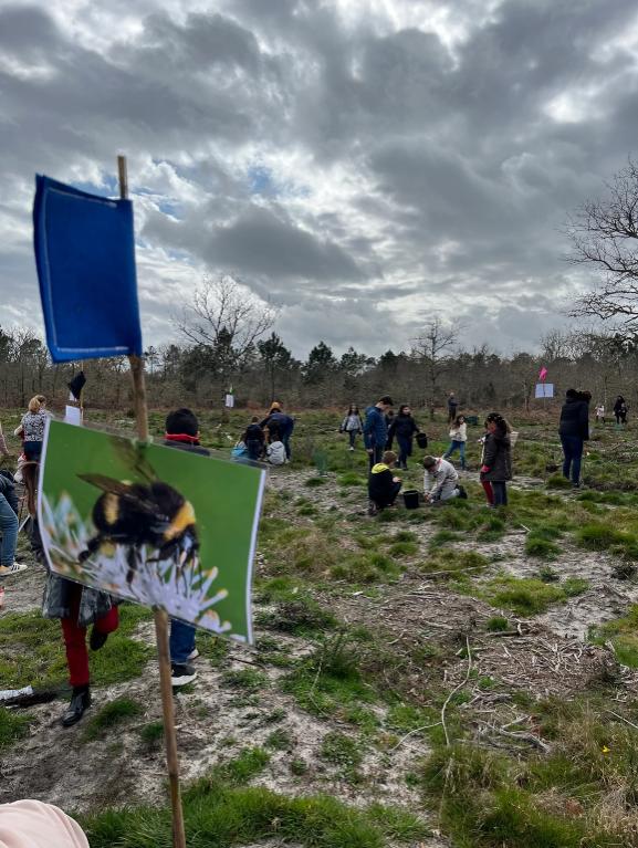 Partez à l'aventure dans la forêt