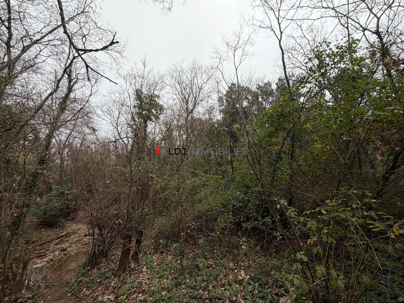 Terrain agricole - 17 246 m²