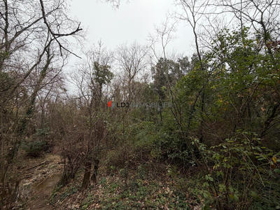 Terrain agricole - 17 246 m²