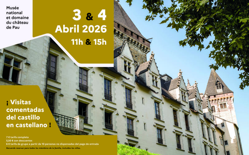 ¡ Visitas comentadas del castillo en castellano !