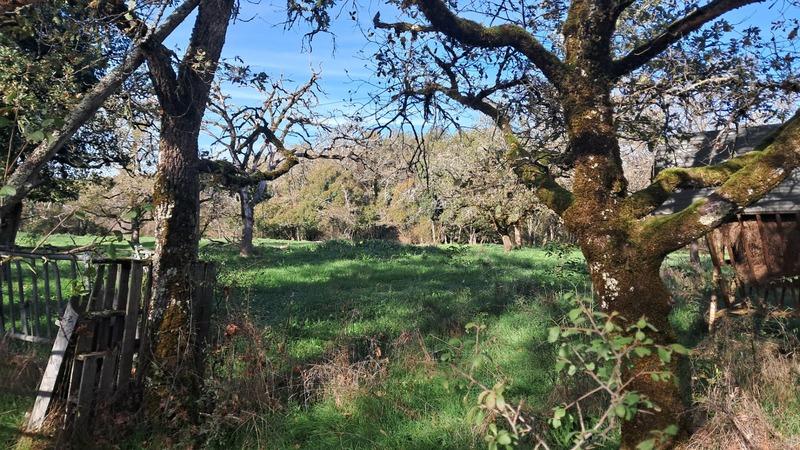 Terrain constructible - 2 000 m²