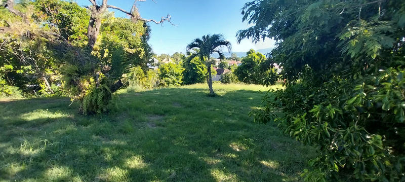 Maison - 230 m² - 6 pièces