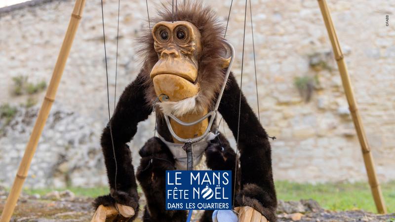 Les Singes - Compagnie Bitonio